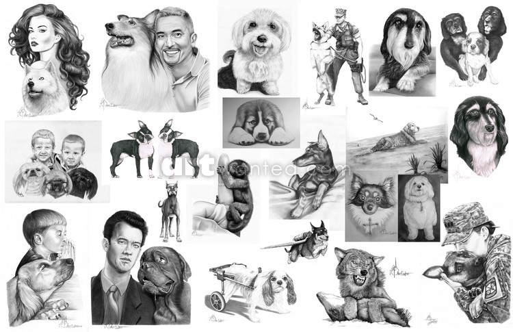 Animal drawings