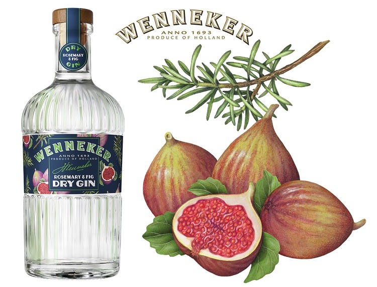 Rosemary and Fig Paintings for Wenneker Gin Label