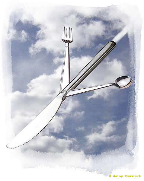 cutlery in airplains
