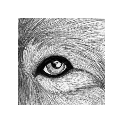 Wolfs Eye