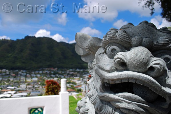 Dragon on the Hill (Manoa Chinese Cemetery)