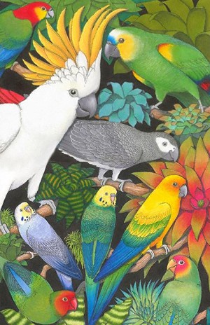 Parrots and Bromeliads