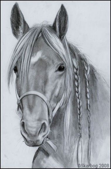 horse with braids
