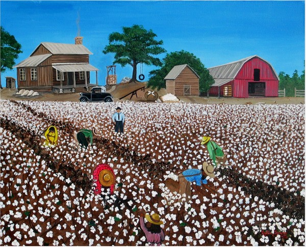 Cotton Field in The South