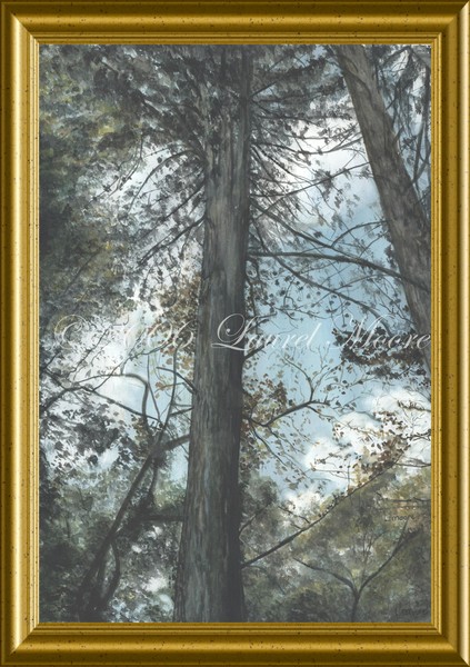 'Under The Great Pines' watercolor.