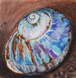 orig cp painting snail shell