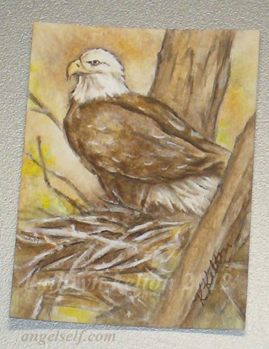 American Bald Eagle on Nest ACEO