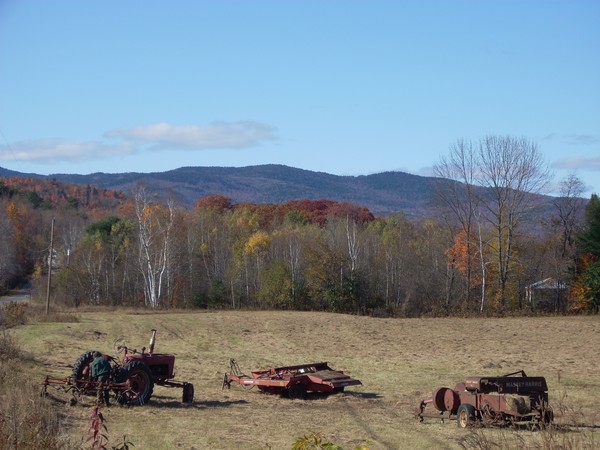 fall fields