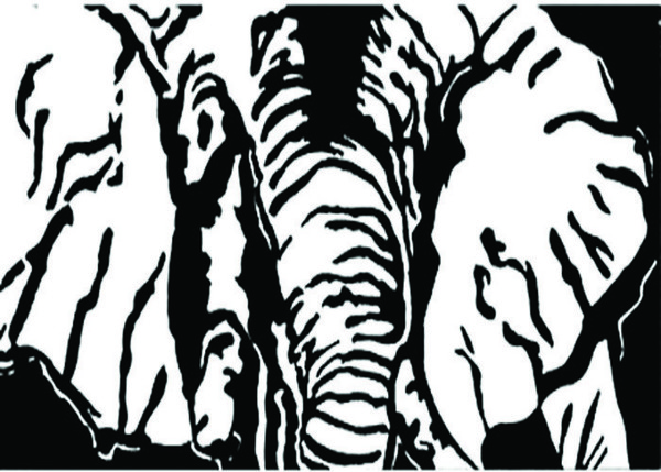 ACEO, Black & White Elephant