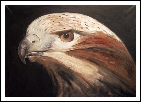 Eagle-eye I
