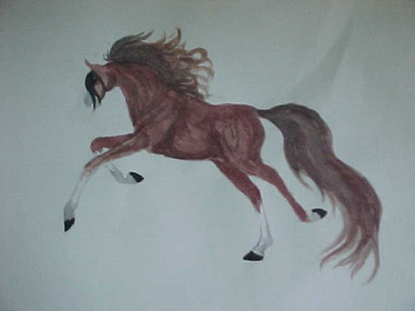 pony poster