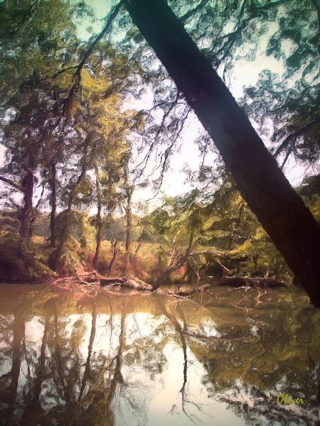 Slumbering Creek