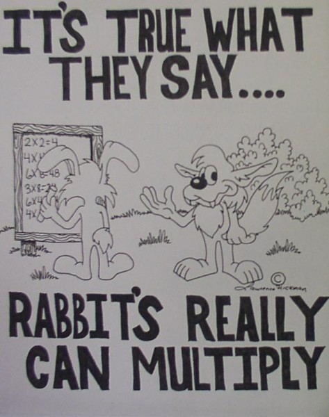 multiplying rabbits