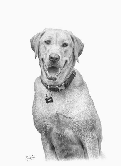 Yellow Lab