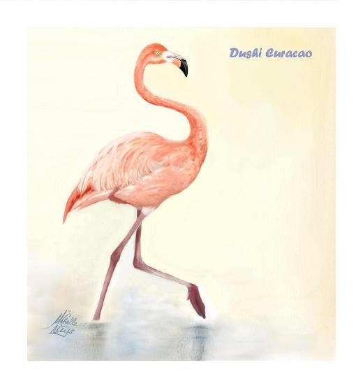 Curacao's Flamingo