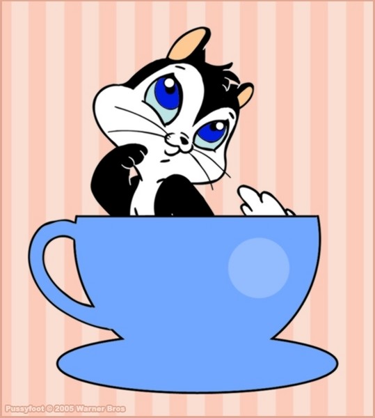 Pussyfoot in Cup