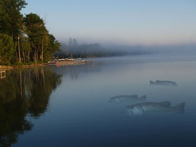 Sunrise on Lake with Bass