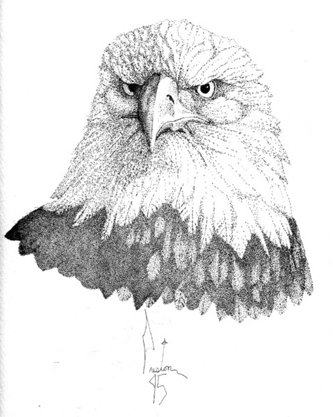 Eagle