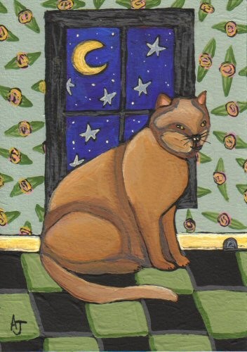 Cat by the Moonlight