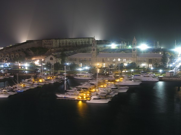 Bermuda Nights