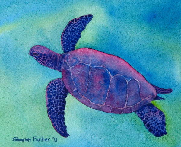 Purple Sea Turtle