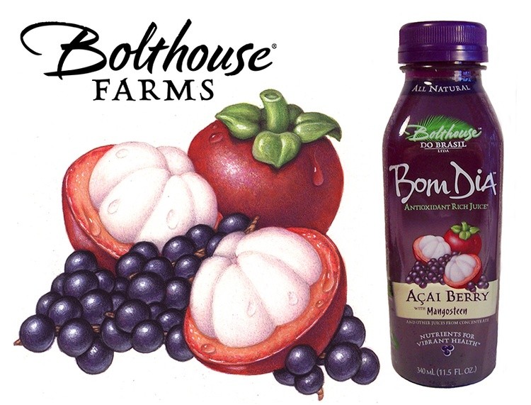 Mangosteen & Acai Berries Illustration for Bolthouse Farms Packaging