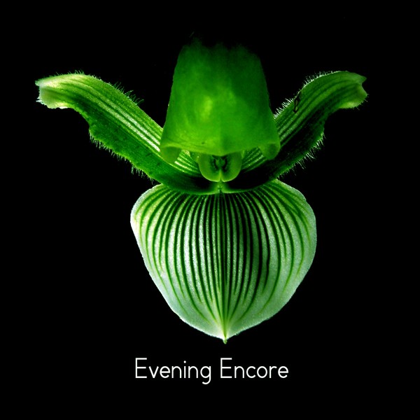 Evening Encore