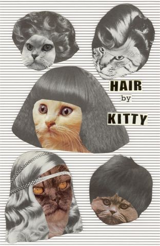 SALON KITTY