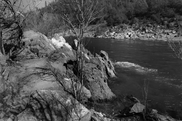 American River Auburn Trail Grayscale 004