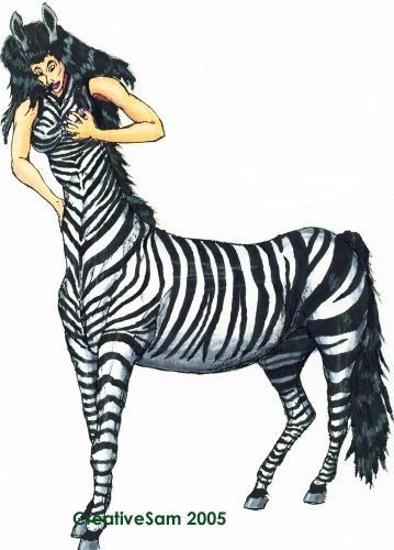 Zebra Taur