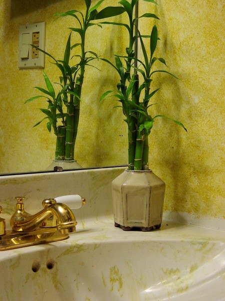 Bathroom Bamboo