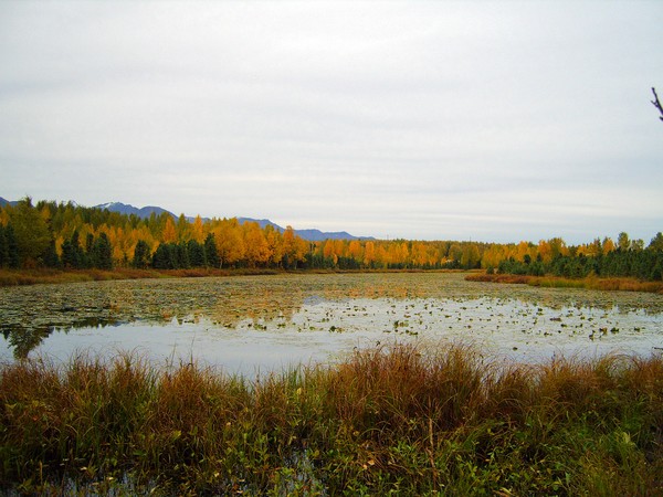 Equinox View of Baxter Bog