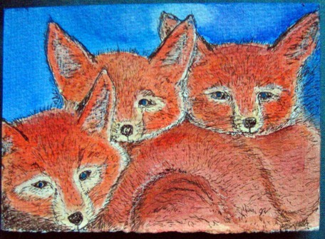Fox kits