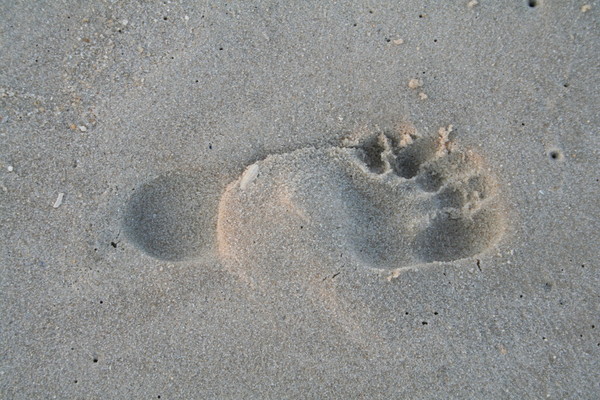 My  foot in the Sand