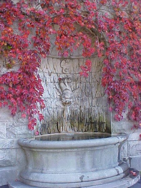 Biltmore Estate Fountain