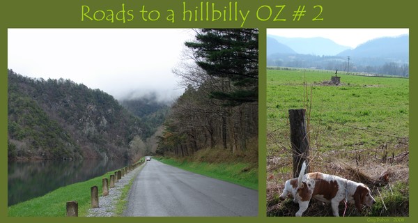 Road to a hillbilly OZ #2