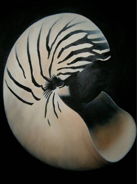 Nautilus