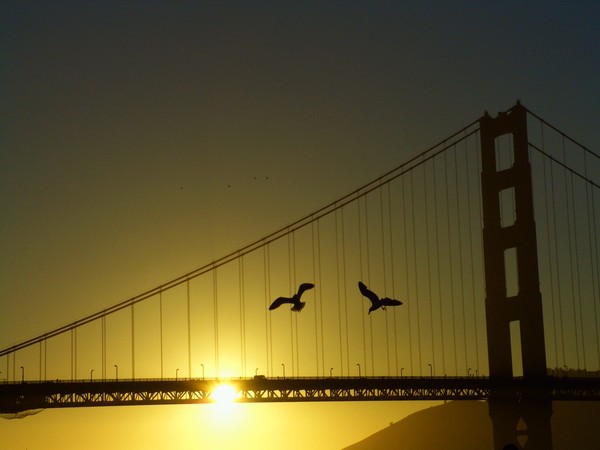 Golden Gate at sunset