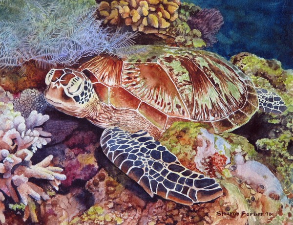 Magical Sea Turtle