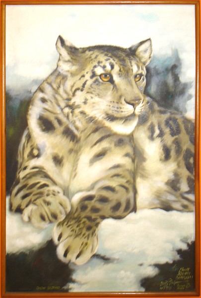 Snow Leopard