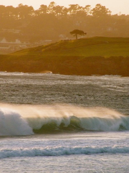 Carmel Coast