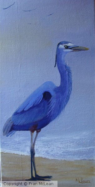 Blue Heron