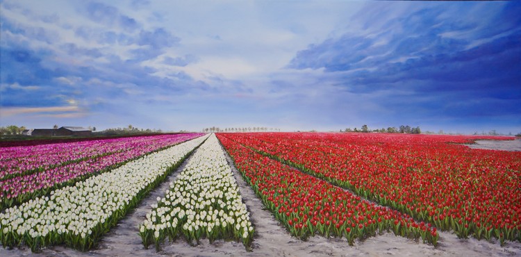 Bloeiende Bollenstreek / Dutch Tulips