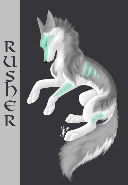 Rusher - OC - 2017