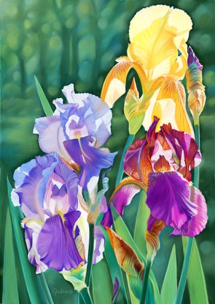 Iris Medley