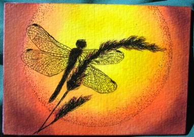 Sunset DragonFly