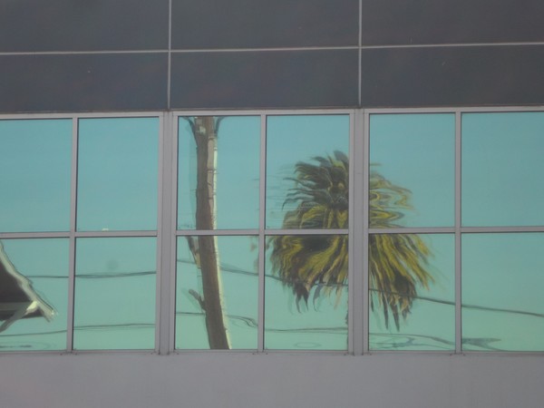 LA Reflections