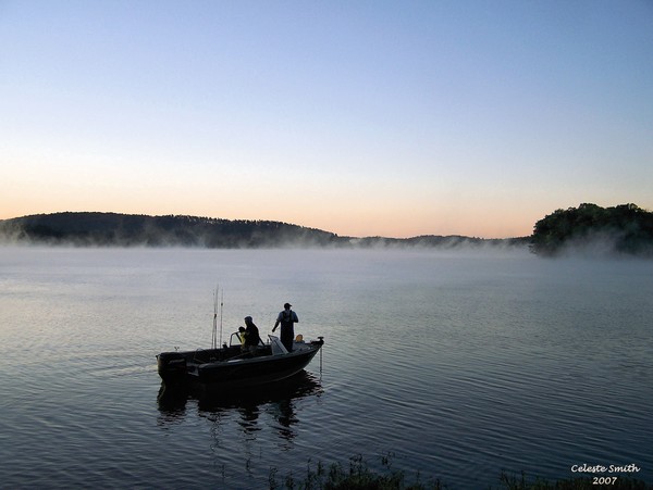 Misty Morning