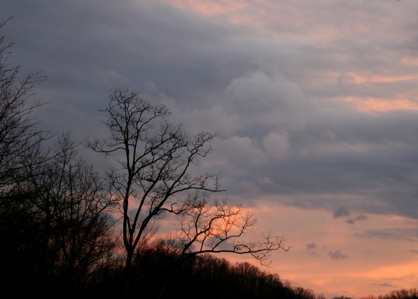 Storm Brewing