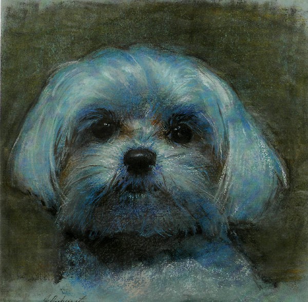 Lola's Portrait